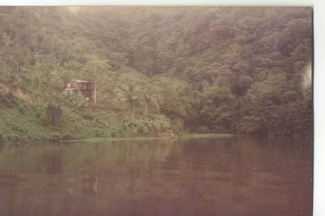 caguanita 1