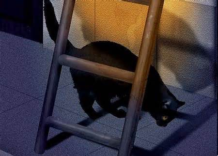 foto39