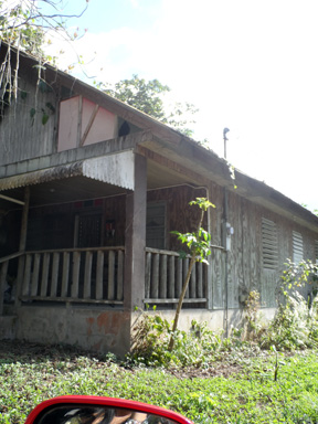 foto4