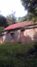 foto10