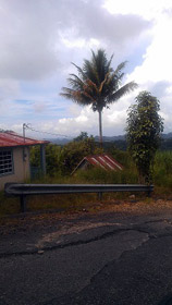 foto11